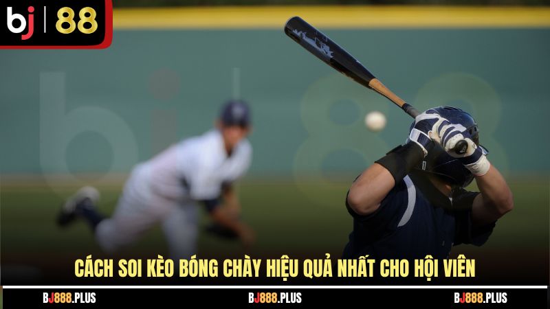 Cách soi kèo bóng chày hiệu quả nhất cho hội viên