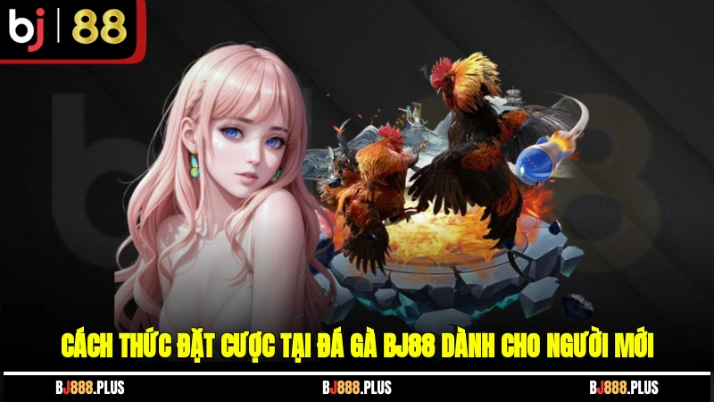 Cách thức đặt cược tại Đá Gà BJ88 dành cho người mới